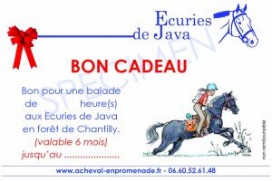 Bon cadeau pour une balade à cheval