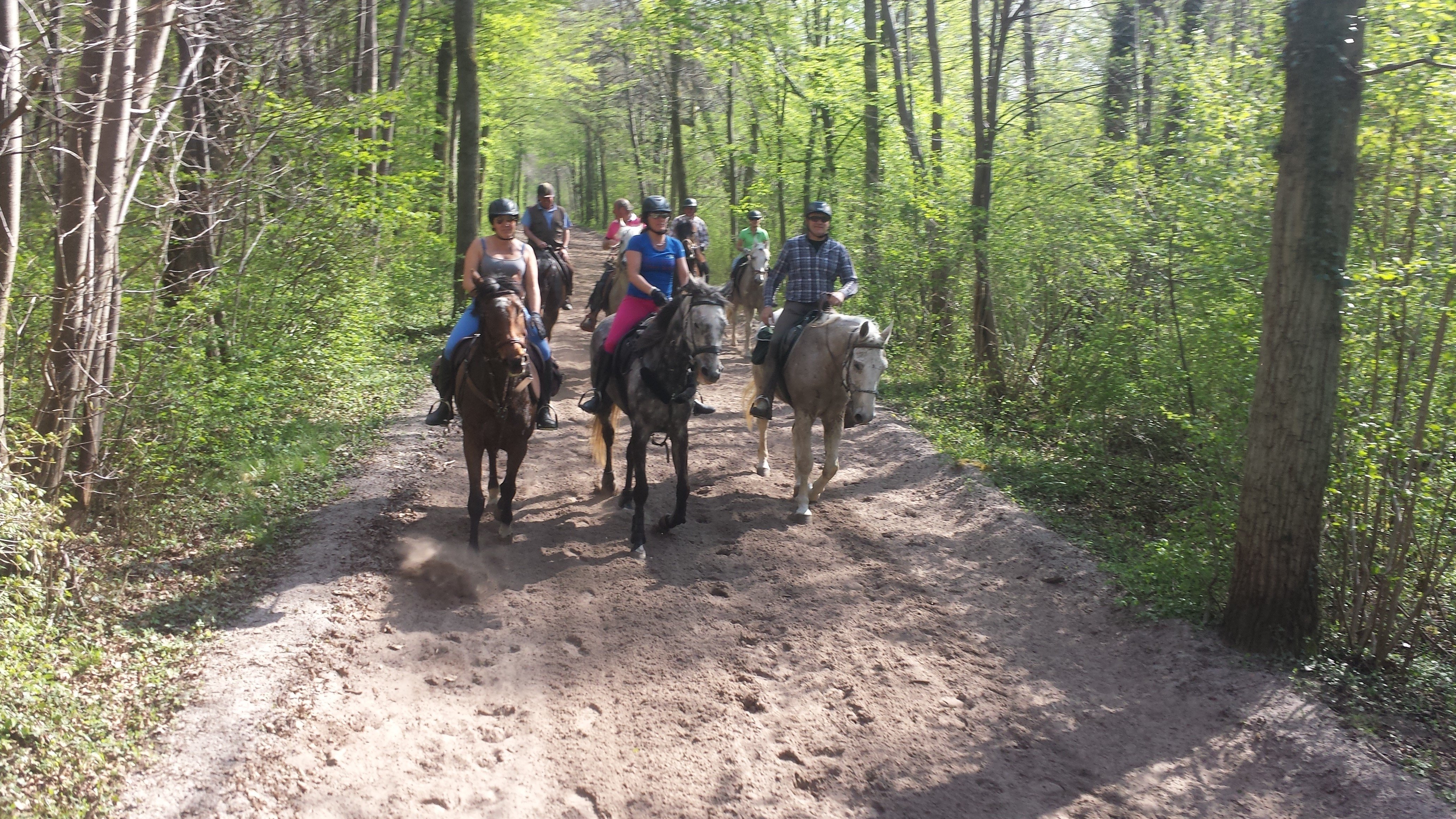 FRANCE A CHEVAL - Randonnée équestre, week-end à cheval, stages, randos  juniors - Par Randocheval